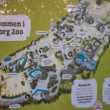 tag_3_aaalborg_zoo_nibe_limfjord_9116